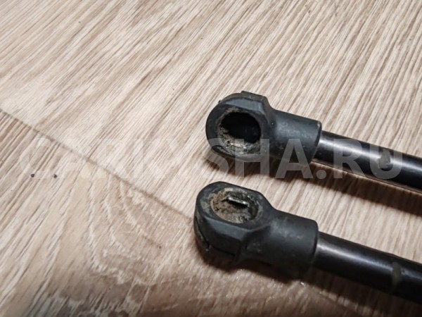 Упоры багажника Nissan Terrano 2018 9045000Q0B F4R Nissan Terrano 