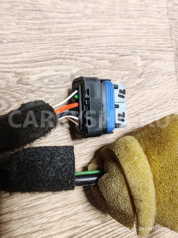 Проводка передней левой двери Nissan Terrano 2018 2430300Q0M F4R Nissan Terrano 